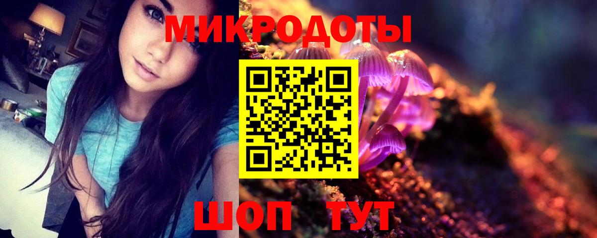 Галлюциногенные грибы Cubensis Чехов