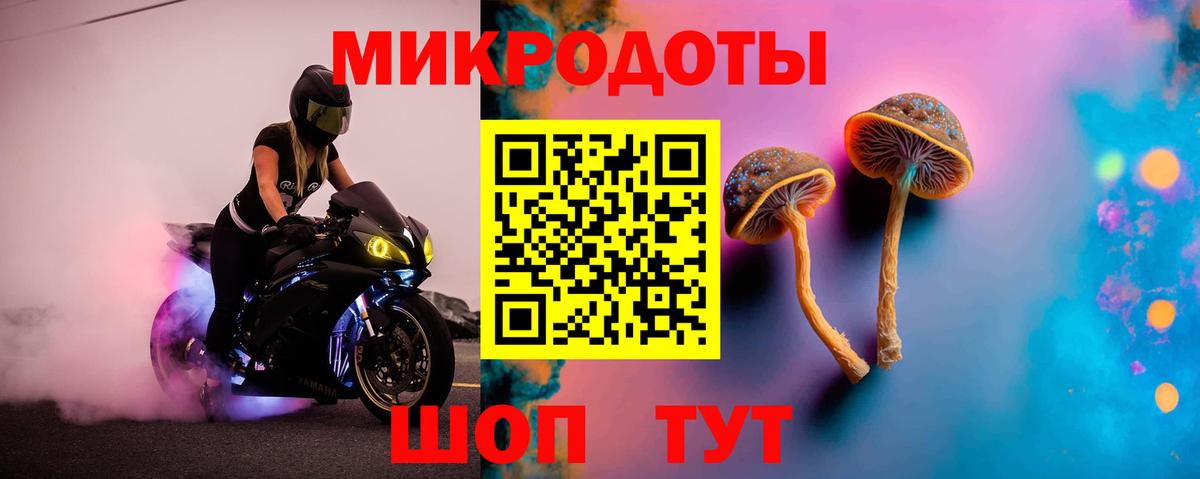 Чехов  Псилоцибиновые грибы мухоморы  купить наркоту  Галлюциногенные грибы GOLDEN TEACHER  Вход с VPN 